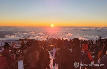 오피스타 제주 한라산 국립공원