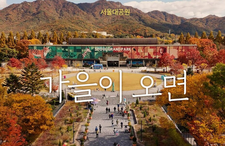 오피스타 핫플레이스 과천서울대공원